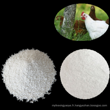 Phosphate dicalcique 18% Poudre ou granulaire Chine Fournisseur